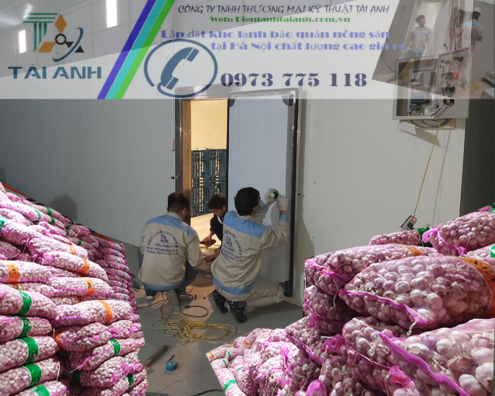 Lắp đặt kho lạnh bảo quản nông sản tại Hà Nội chất lượng cao