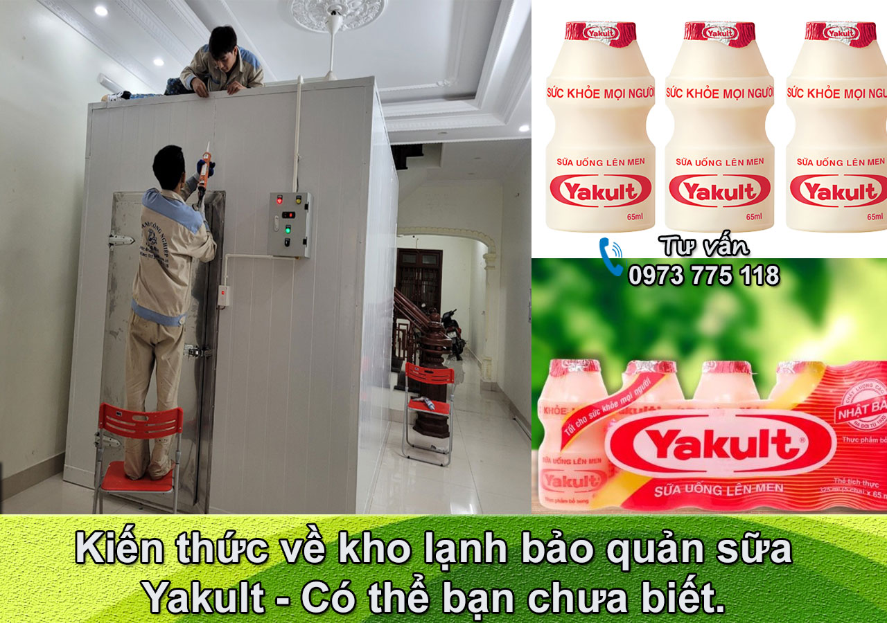 Thiết kế và Thi công kho lạnh bảo quản sữa Yakult tại Nam Định