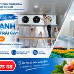 Thi công và lắp đặt kho lạnh bảo quản trái cây tại Ninh Bình